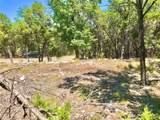 7205 White Oak Dr - Photo 10