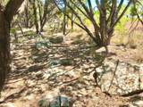7205 White Oak Dr - Photo 12