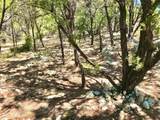 7205 White Oak Dr - Photo 13
