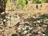 7205 White Oak Dr - Photo 15