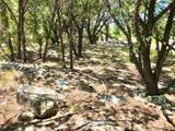 7205 White Oak Dr - Photo 16