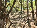 7205 White Oak Dr - Photo 19