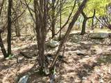 7205 White Oak Dr - Photo 21