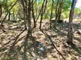 7205 White Oak Dr - Photo 22