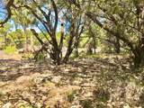 7205 White Oak Dr - Photo 25