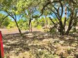 7205 White Oak Dr - Photo 27