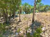 7205 White Oak Dr - Photo 3