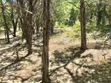 7205 White Oak Dr - Photo 4