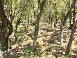 7205 White Oak Dr - Photo 5