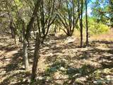 7205 White Oak Dr - Photo 6