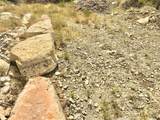 7205 White Oak Dr - Photo 8