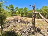 7205 White Oak Dr - Photo 9