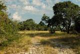3067 Ranch Road 1888 - Photo 11