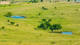 4501 210 County Rd - Photo 30