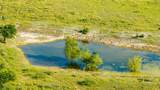 4501 210 County Rd - Photo 33
