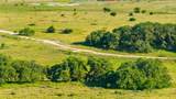 4501 210 County Rd - Photo 34