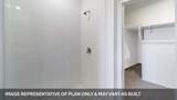 1173 Celosia Loop - Photo 10