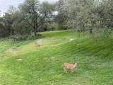 10306 D K Ranch Rd - Photo 36