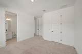 684 Iron Willow Loop - Photo 17