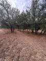 13203 Private Road 3642 - Photo 2