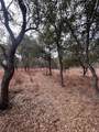 13203 Private Road 3642 - Photo 4
