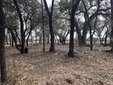 13203 Private Road 3642 - Photo 9