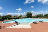12205 Terraza Cir - Photo 29