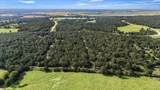 Lot 29 Walleye Creek Trl - Photo 4