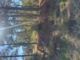 Lot 97 Kaelepulu Dr - Photo 1