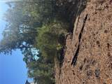 Lot 97 Kaelepulu Dr - Photo 6