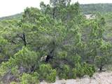 8607 Teton Pass - Photo 4