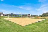 305 Verbena Dr - Photo 38