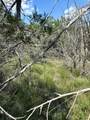 4701 Little Creek Trl - Photo 13