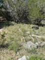 4701 Little Creek Trl - Photo 18