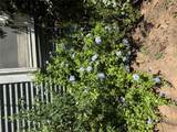 1132 Thiele Ln - Photo 20