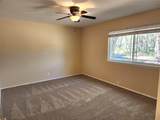 817 Willow Creek Cir - Photo 12