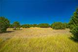 564 Bluff Springs Dr - Photo 15