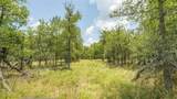 418-G County Road 405 - Photo 11