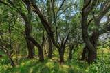 0 Ranch Road 648 - Photo 10