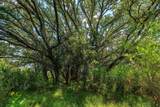 0 Ranch Road 648 - Photo 9