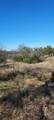Lot 50 Pristine Pass - Photo 12