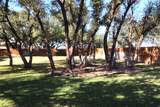 403 Roca Trl - Photo 35