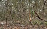 TBD Leona Ranch Rd - Photo 4