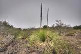 TBD Leona Ranch Rd - Photo 6