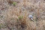 TBD Leona Ranch Rd - Photo 7
