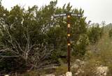 TBD Leona Ranch Rd - Photo 8