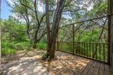 6702 Cat Creek Trl - Photo 5