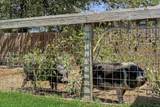 671 Shiloh Rd - Photo 20