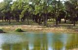 TBD Creekside Ln - Photo 9