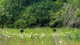 ESMT County Road 302 - Photo 10